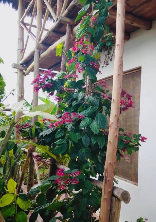 Kilimani House Bed & Breakfast Нунгви Екстериор снимка